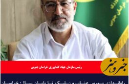 راه‌اندازی بورس عناب و زرشک تا پایان سال؛ خراسان جنوبی قطب زعفران با کیفیت جهانی