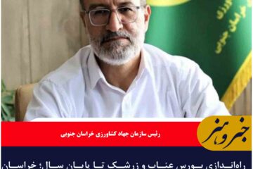 راه‌اندازی بورس عناب و زرشک تا پایان سال؛ خراسان جنوبی قطب زعفران با کیفیت جهانی