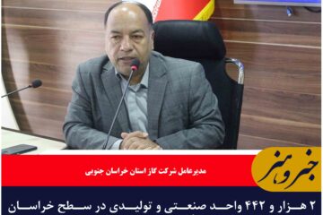 ۲ هزار و ۴۴۲ واحد صنعتی و تولیدی در سطح خراسان جنوبی از نعمت گاز طبیعی برخوردار شده اند