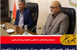 تشکیل جلسات تخصصی برای تسریع در پرداخت تسهیلات گردشگری در خراسان جنوبی