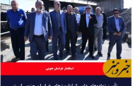 تأمین نهاده‌های دامی از اولویت‌های خراسان جنوبی است