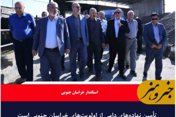 تأمین نهاده‌های دامی از اولویت‌های خراسان جنوبی است