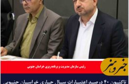 تاکنون ۴۰ درصد اعتبارات سال جاری خراسان جنوبی تخصیص یافته است