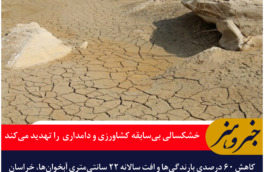 خشکسالی بی‌سابقه کشاورزی و دامداری خراسان جنوبی را تهدید می‌کند