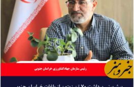 پیش‌بینی برداشت ۷۰ تن زیتون از باغات خراسان جنوبی