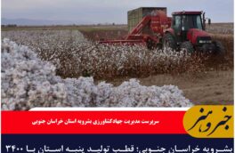 بشرویه خراسان جنوبی؛ قطب تولید پنبه استان با ۳۴۰۰ هکتار سطح زیرکشت