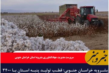 بشرویه خراسان جنوبی؛ قطب تولید پنبه استان با ۳۴۰۰ هکتار سطح زیرکشت