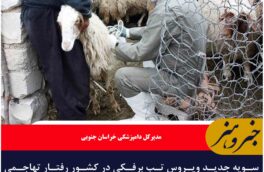 سویه جدید ویروس تب برفکی در کشور رفتار تهاجمی‌تری دارد