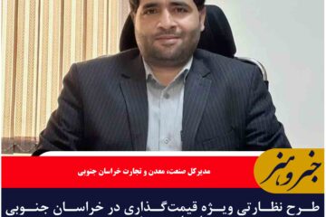 طرح نظارتی ویژه قیمت‌گذاری در خراسان جنوبی اجرایی می‌شود