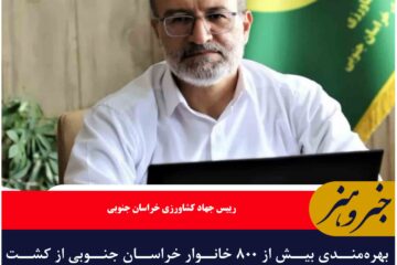 بهره‌مندی بیش از ۸۰۰ خانوار خراسان جنوبی از کشت‌های گلخانه‌ای