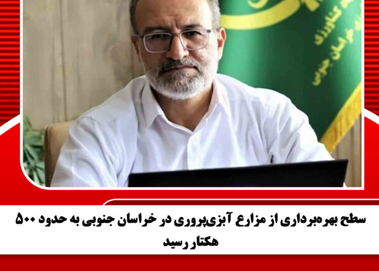 سطح بهره‌برداری از مزارع آبزی‌پروری در خراسان جنوبی به حدود ۵۰۰ هکتار رسید