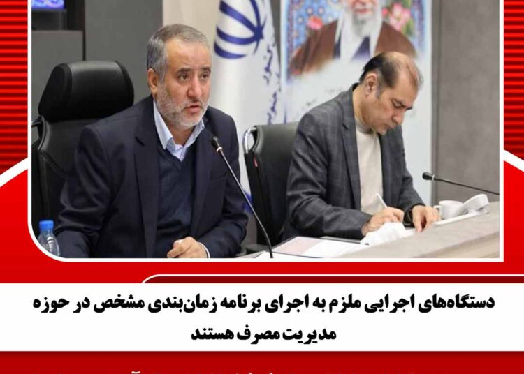 دستگاههای اجرایی ملزم به اجرای برنامه زمانبندی مشخص در حوزه مدیریت مصرف هستند