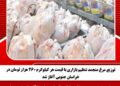 توزیع مرغ منجمد تنظیم بازاری با قیمت هر کیلوگرم ۲۶۰ هزار تومان در خراسان جنوبی آغاز شد