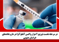 در مرحله نخست توزیع ۲ هزار واکسن آنفلوآنزا در داروخانه‌های خراسان جنوبی
